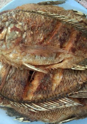 Foto resep Nila Goreng Gurih