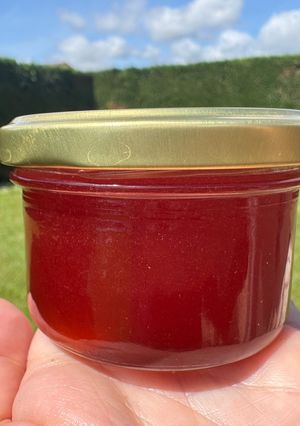 Une photo de Sirop de fraises « zéro déchet »
