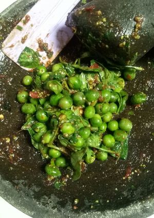 Foto resep Karedok Leunca