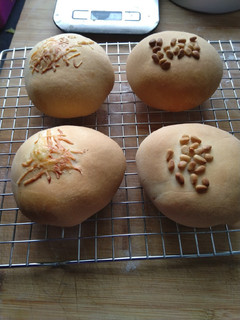 Une photo de Buns farcie (tomate ou béchamel)
