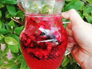 2020 17.mix berries mojito non alcohol