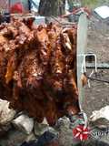 Gyros with a Twist!