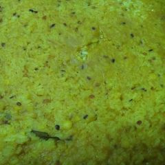 A picture of Khichdi.