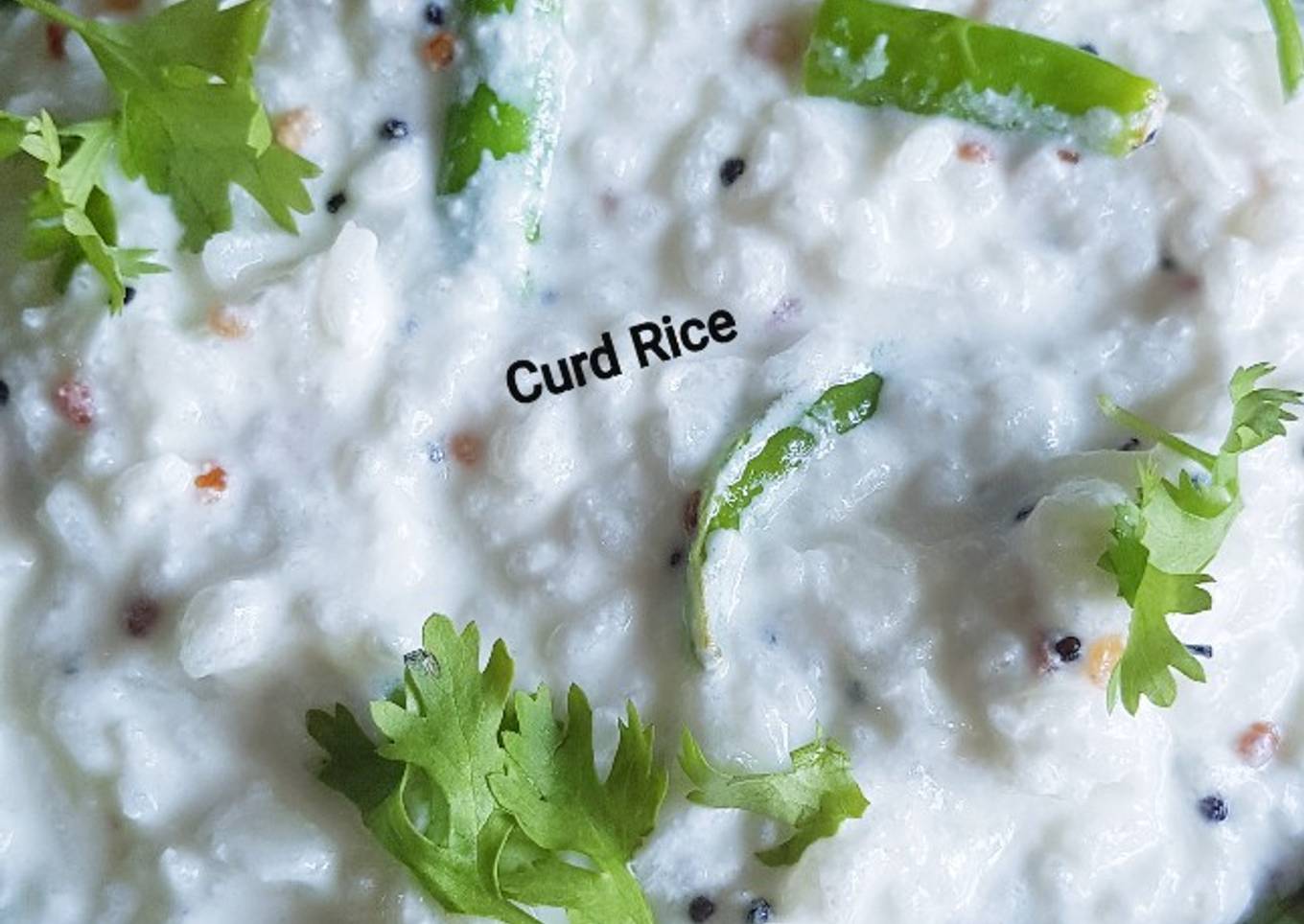 Curd_Rice /Natural Vitamin B12