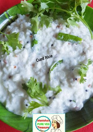 A picture of Curd Rice.