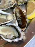 Ostras