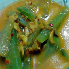 รูปของ Santan pedas Manisa/labu siam dan udang rebon kering