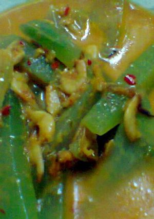Foto resep Santan pedas Manisa/labu siam dan udang rebon kering