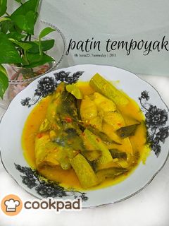 Gambar Patin tempoyak