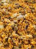 Arroz con coquinas de Huelva y habitas tiernas