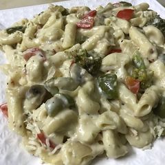 A picture of White Sauce Pasta.