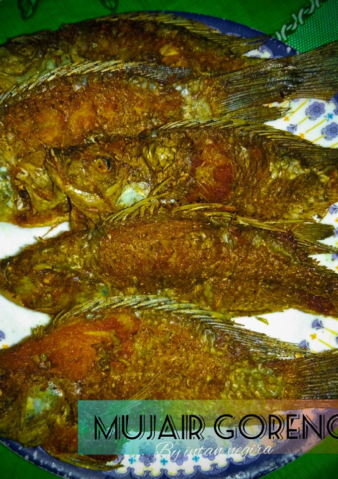 Foto resep Ikan mujair goreng marinasi