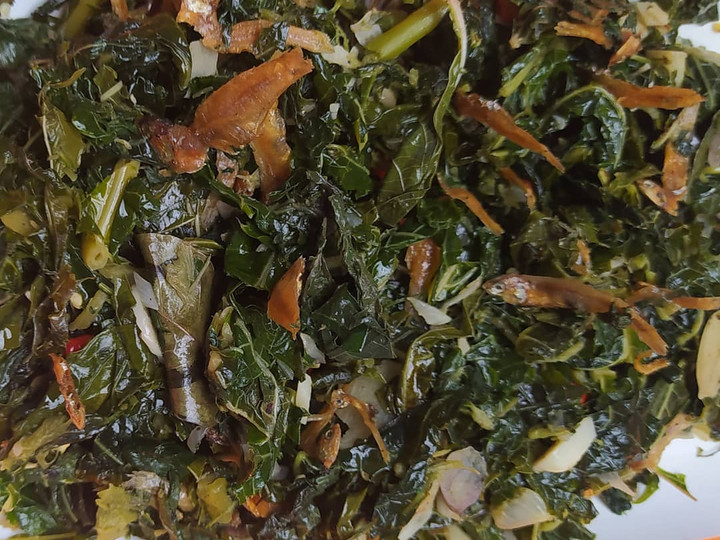 Resep Oseng daun pepaya teri yang Lezat