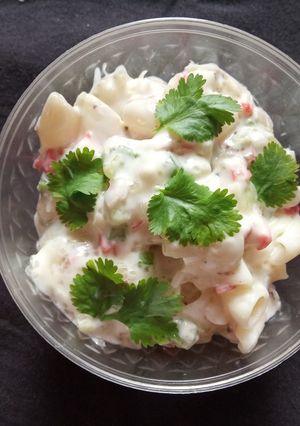 પાસ્તા સલાડ (Pasta Salad Recipe In Gujarati) રેસીપી મુખ્ય ફોટો