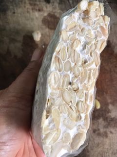 Foto resep Cara Membuat Tempe