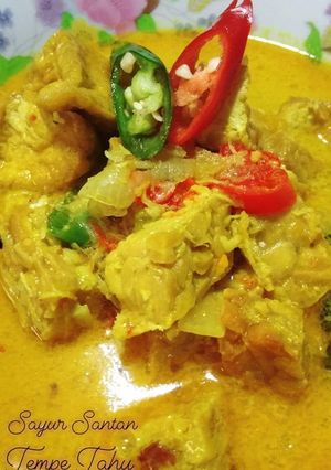 Foto resep Sayur Santan Tempe Tahu 🤤
