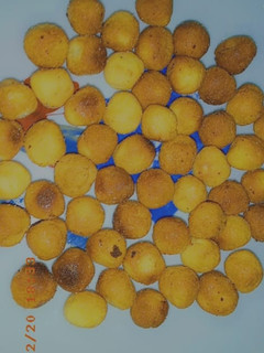 A picture of Gullisuwa.