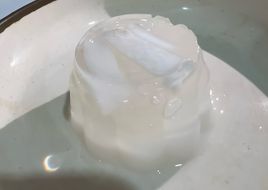 Rau câu dừa 2 tầng