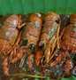 Langkah Mudah untuk Membuat Lobster Saos Padang yang Bikin Ngiler