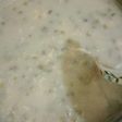 Bubur Kacang Ijo Sehat