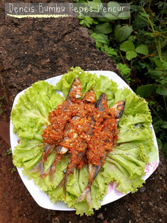 Foto resep Dencis Bumbu Pepes Kencur