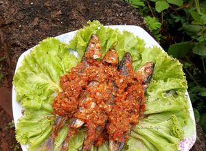 Foto resep Dencis Bumbu Pepes Kencur