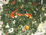 Tumis Daun Pepaya Jepang