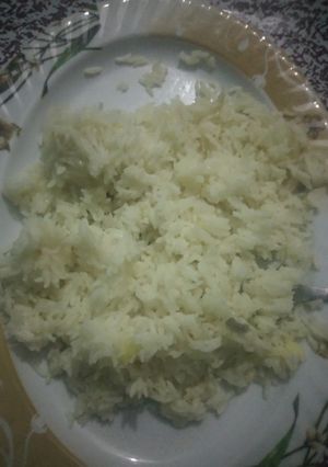 A picture of Plain rice.