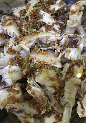 Foto resep Ayam pek cham kee/白切鸡