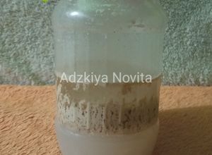 Foto resep Virgin Coconut Oil/ VCO/ Extra Virgin Coconut Oil/ EVCO/ Minyak Kelapa Murni/ Minyak Perawan