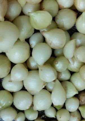 Hình của món Canh hành tăm (củ nén).