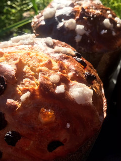 Una foto de Panettone clásico, con chocolate o frutas
