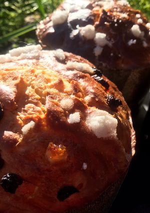 Foto principal de Panettone clásico, con chocolate o frutas