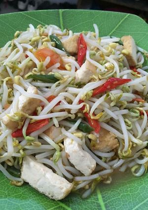 Foto resep Cah Tauge Tahu Simple