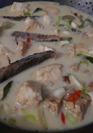 Foto resep Tongkol masak santen