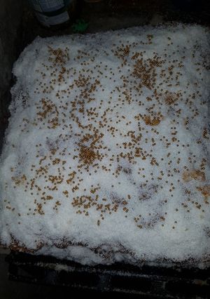 Una foto de Torta de cumpleaños simple y exquisita