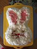 Easter Bunny Cake