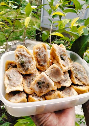 Foto resep Tahu Bakso Ayam (Frozen)
