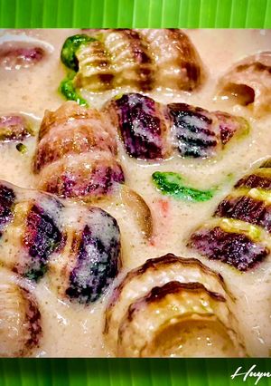 Hình của món Ốc Len Xào Dừa.