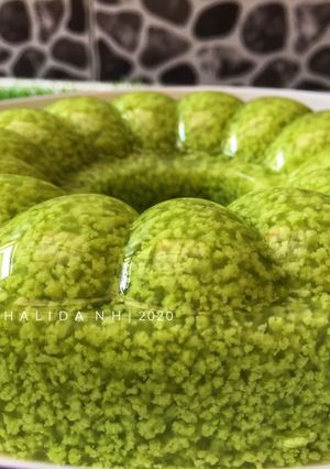 Foto resep Puding Lumut (Full lumut)