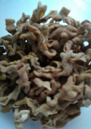 Foto resep Usus crispy