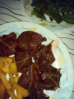 عکسی از دستور دلمه برگ مو