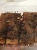Ropis coklat