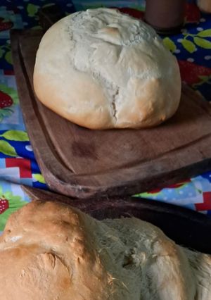 Una foto de Pan Casero en horno