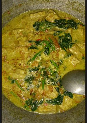 Foto resep Bobor bayam sayur simple