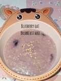 Blueberry oat