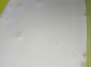 Una foto de Mayonesa de leche y ajo... Lactonesa 🥛🌻