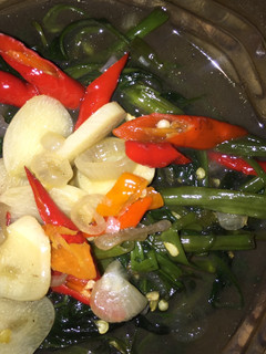 Foto resep Tumis Kangkung Saus Tiram