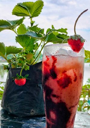 Foto resep Milky Yakult berry