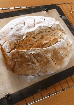 عکسی از دستور نان با خمیرترش